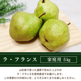 洋梨 【木村フルーツ】 洋なし ラ・フランス 家庭用 訳あり 約5kg 山形県上山市 ラフランス《11/中旬～11/下旬より出荷》