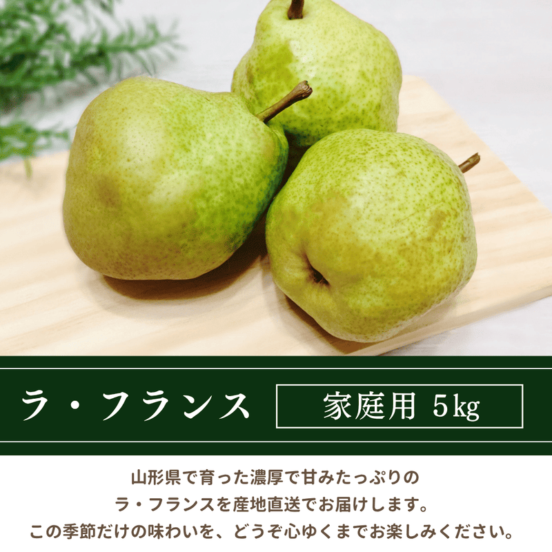 洋梨 【木村フルーツ】 洋なし ラ・フランス 家庭用 訳あり 約5kg 山形県上山市 ラフランス《11/中旬～11/下旬より出荷》