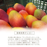 マンゴー 【緒方果樹園】 完熟マンゴー 特大 5～6L 1個 600g以上 贈答用 宮崎県宮崎市 《6/上～6/下の出荷》
