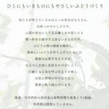 ぶどう 【境果樹園】 富士の輝き シャインマスカット 1房ずつ 約1kg 長野県須坂市 《10/上旬～10/中旬より出荷》