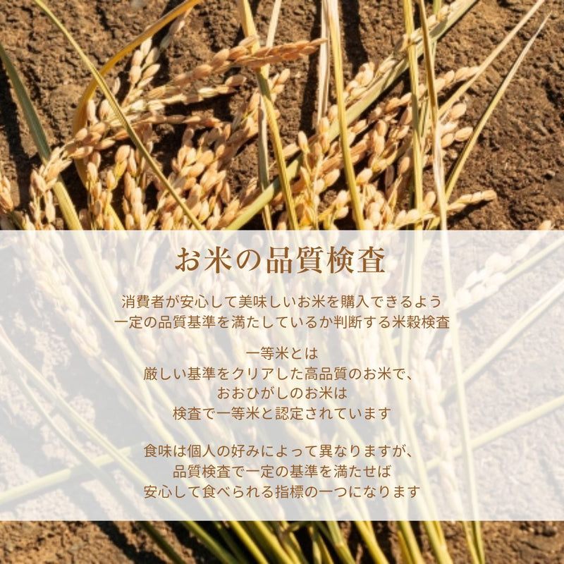 米 【おおひがし稲作研究会】 天のつぶ 玄米 30kg 白米精米可能 福島県須賀川市 令和6年産