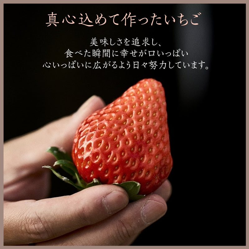 いちご 【斎藤農園】4種 食べ比べ (15～20粒 300g)×4P 福島県伊達市 《5/1～5/10より出荷》