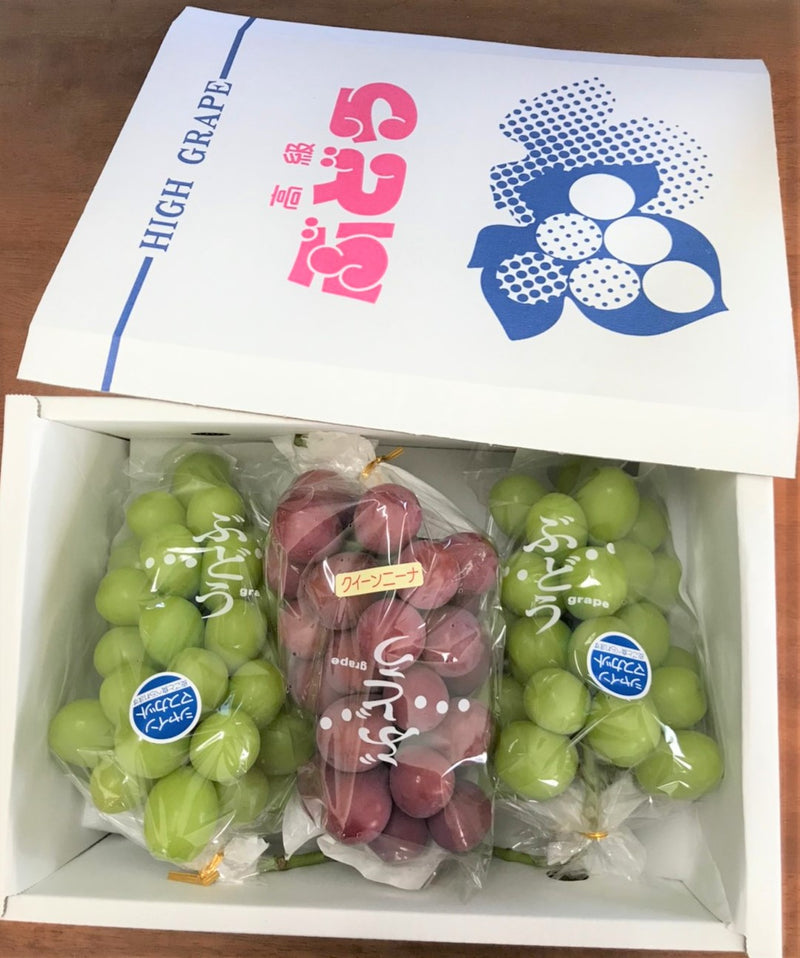 ぶどう 【ﾌﾙｰﾂﾌｧｰﾑいしくら】 葡萄 シャインマスカット 2房 クイーンニーナ 1房 合計3房 1.8kg 高糖度 山梨県 《8月17日頃～8月下旬より出荷》