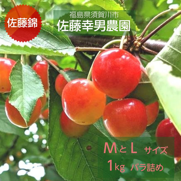 さくらんぼ 【佐藤幸男農園】 佐藤錦 ML混合 1kg バラ詰 福島県 《6/中旬～6/下旬の出荷》
