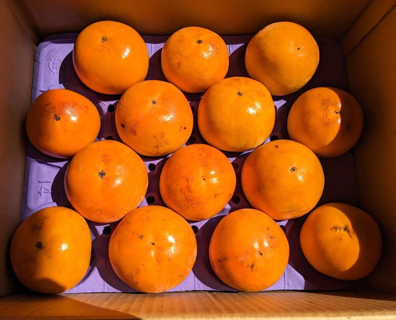 柿 甘柿 【石岡 鈴木農園】 八郷の柿 富有柿等 品種お任せ 7kg 2L～3L