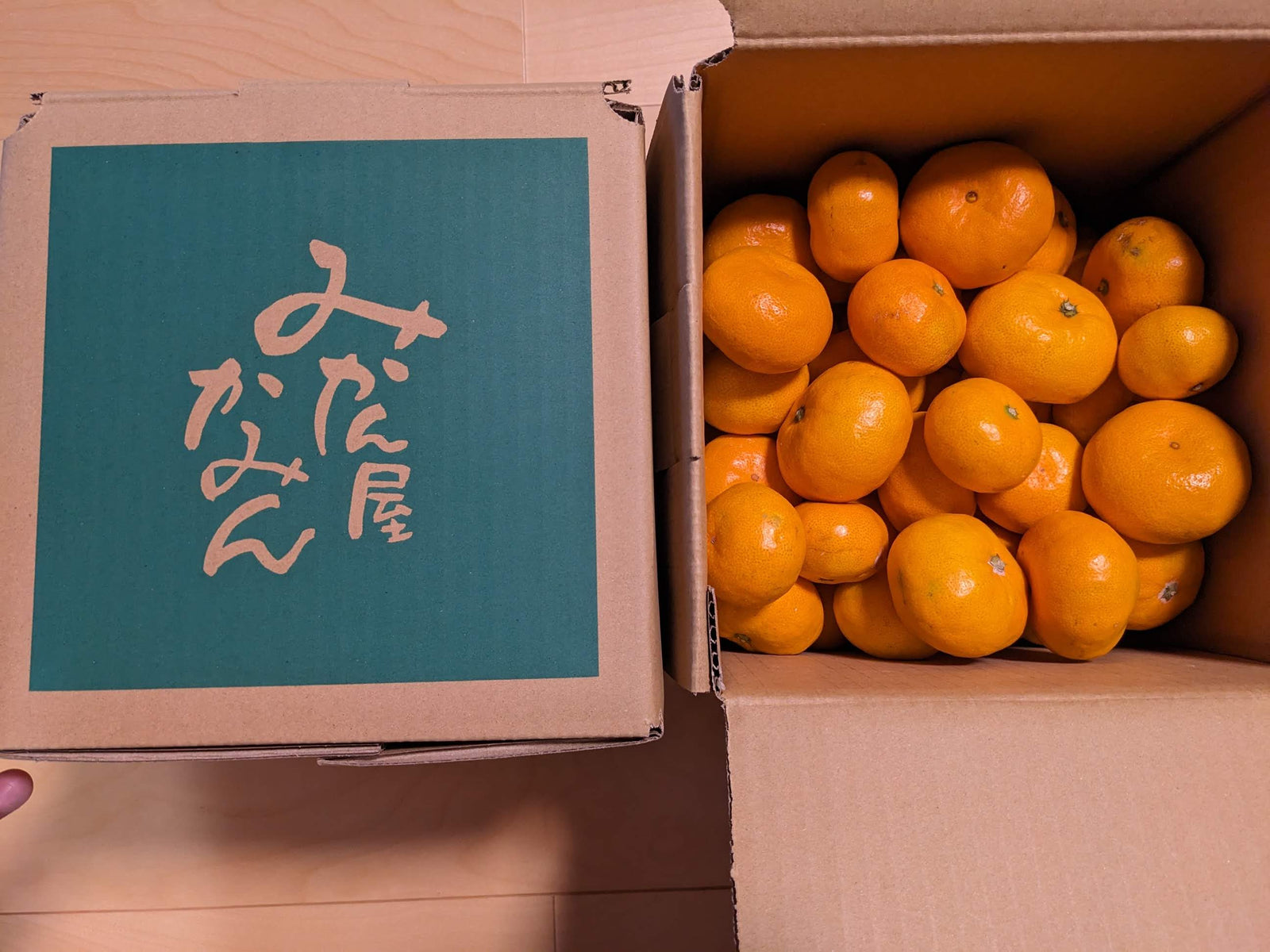 みかん 【みかん屋かみん】4kg サイズ不揃い 家庭用 静岡県浜松市 《11