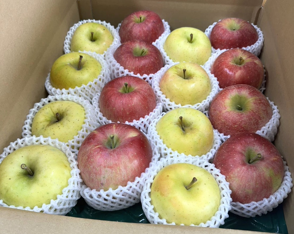 りんご 【有我果樹園】 2色 リンゴ ぐんま名月 フジ 5kg 16～18個