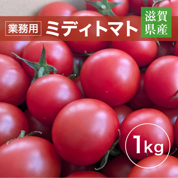 トマト 業務用 中玉トマト ミディトマト 1㎏ 滋賀県  11/中旬～7/中旬の販売
