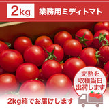 トマト 業務用 中玉トマト ミディトマト 2㎏ 滋賀県  11/中旬～7/中旬の販売