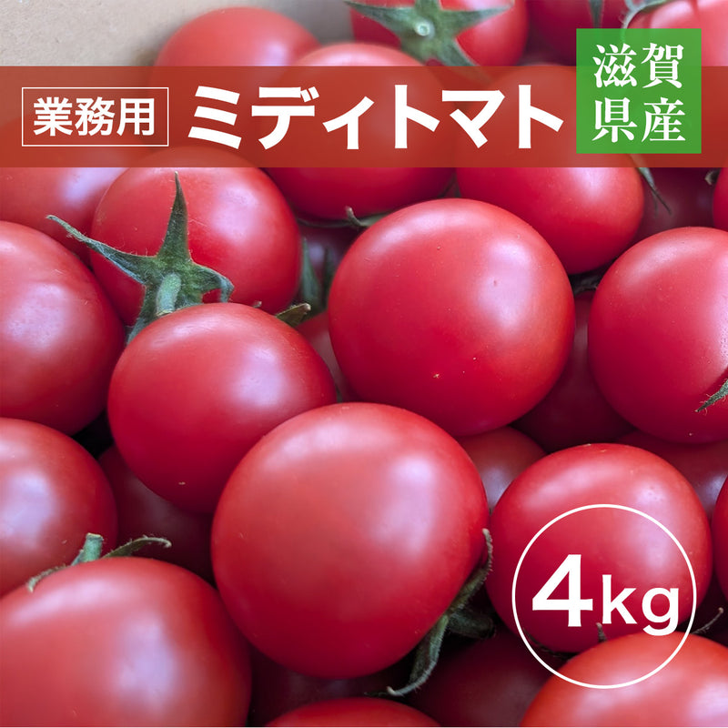 トマト 業務用 中玉トマト ミディトマト 4㎏ 滋賀県  10月～7月の販売