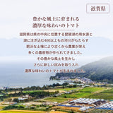 トマト 業務用 中玉トマト ミディトマト 4㎏ 滋賀県  10月～7月の販売