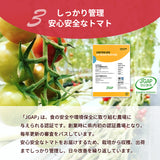 トマト 業務用 中玉トマト ミディトマト 4㎏ 滋賀県  10月～7月の販売