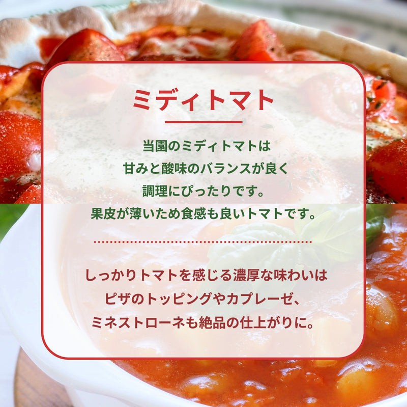 トマト 業務用 中玉トマト ミディトマト 4㎏ 滋賀県  10月～7月の販売