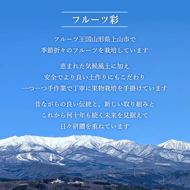 干し柿 【フルーツ彩】 紅干し柿 吊るし柿 Lサイズ 32果綴り×2袋 約2kg 山形県上山市 干柿《12/中旬～12/下旬より出荷》