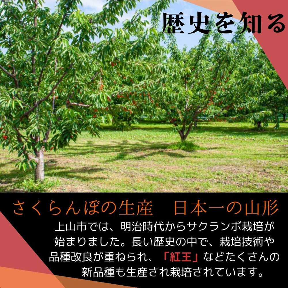 さくらんぼ 【スミヤ果樹園】 紅王 特秀 3L 15粒 プレミアム 山形県《6