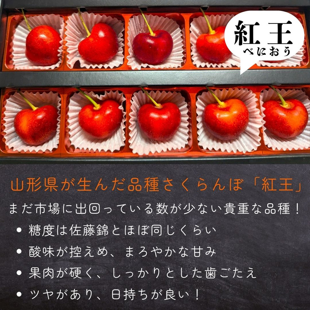 さくらんぼ 【スミヤ果樹園】 紅王 特秀 3L 15粒 プレミアム 山形県《6