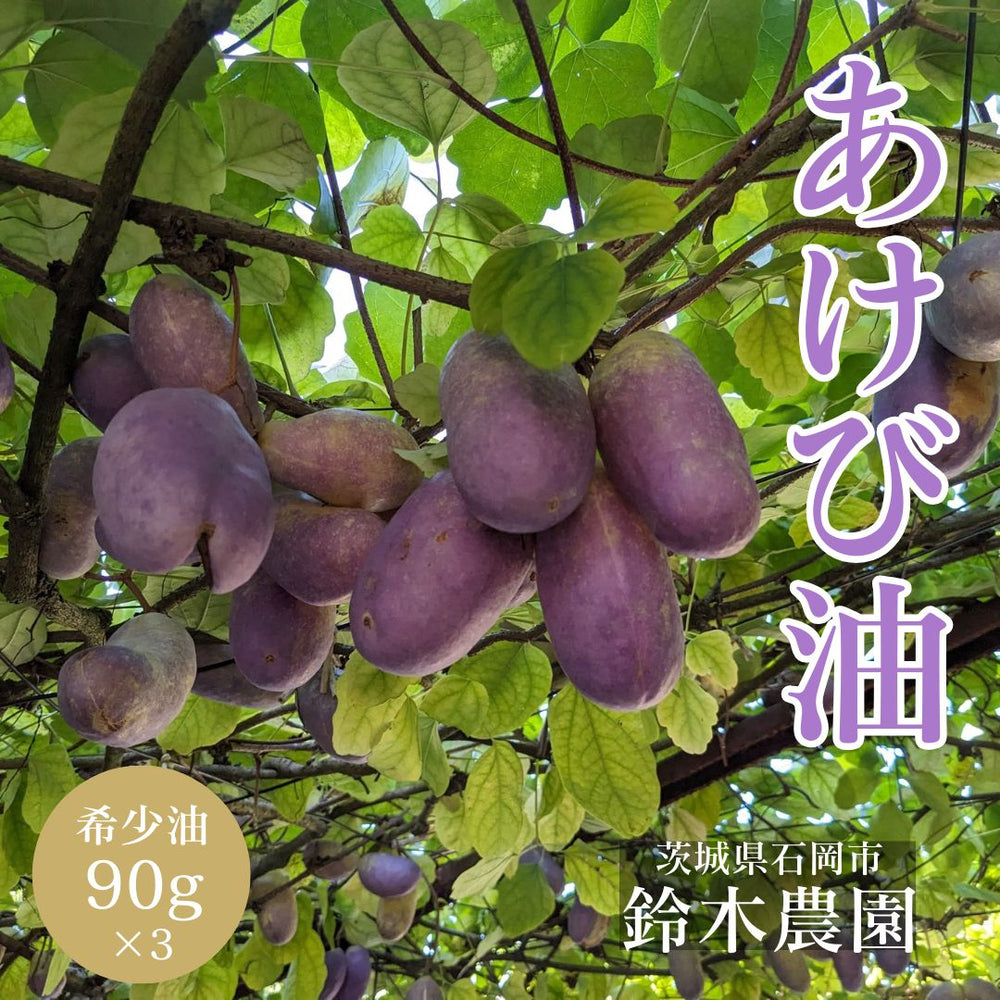 アケビ油 【石岡 鈴木農園】 希少油 あけび 90g×3本 茨城県石岡市
