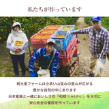 みかん 【柑土里ファーム】 三ヶ日みかん 青島 2㎏ M~3L混載 家庭用 糖度12度前後 静岡県 三ヶ日 《1/下旬～2/上旬より出荷開始》
