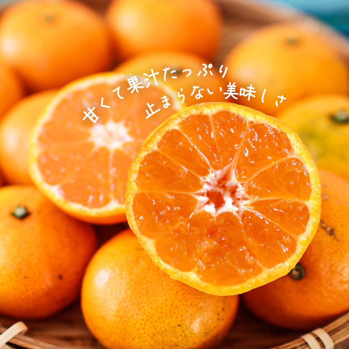 みかん 【柑土里ファーム】 三ヶ日みかん 青島 4㎏ サイズ不揃い 家庭