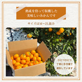 みかん 【柑土里ファーム】 三ヶ日みかん 青島 4㎏ M~2L混合 糖度12度前後 静岡県 三ヶ日 《1/下旬～2/上旬より出荷開始》