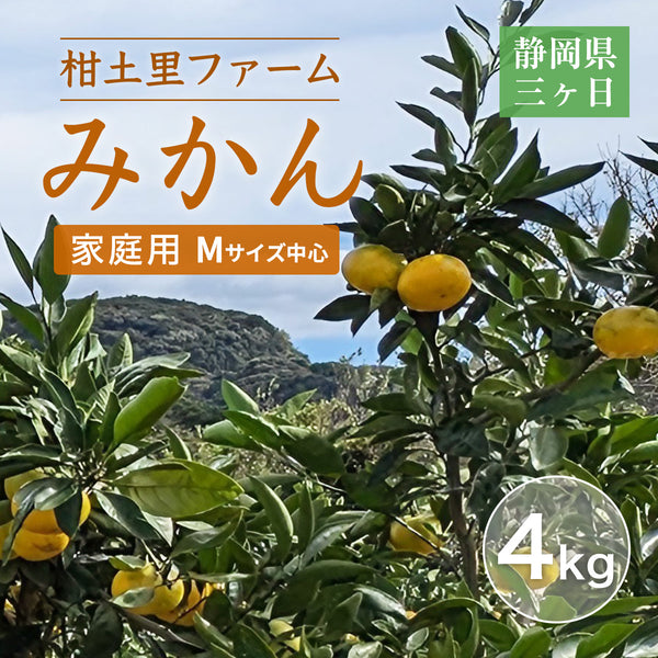 みかん 【柑土里ファーム】 三ヶ日みかん 4㎏ 家庭用 糖度12度前後 静岡県 三ヶ日 《11/下旬～12/上旬より出荷開始》