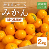 みかん 【柑土里ファーム】 三ヶ日みかん 青島 2㎏ M~2L混合 糖度12度前後 静岡県 三ヶ日 《1/下旬～2/上旬より出荷開始》