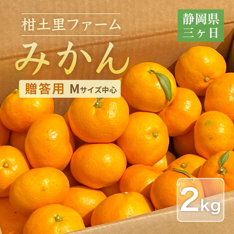 みかん 【柑土里ファーム】 三ヶ日みかん 2㎏ 贈答用 糖度12度前後 静岡県 三ヶ日 《11/下旬～12/上旬より出荷開始》