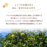 みかん 【柑土里ファーム】 三ヶ日みかん 4㎏ 贈答用 糖度12度前後 静岡県 三ヶ日 《11/下旬～12/上旬より出荷開始》