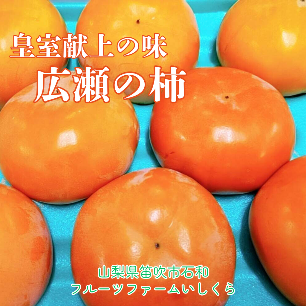 柿 甘柿 【フルーツファームいしくら】 富有柿等 皇室献上の味 広瀬の柿 1.5kg  2L 6個 山梨県笛吹市 種なし かき《10/下旬～11/上旬の出荷》