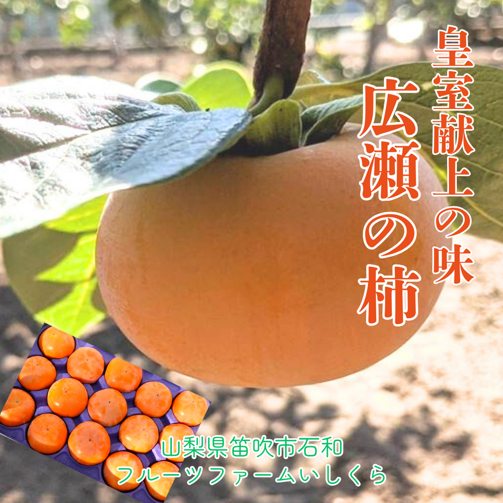 柿 甘柿 【フルーツファームいしくら】 富有柿等 皇室献上の味 広瀬の柿 4kg L 18 個  山梨県笛吹市 種なし かき《10/下旬～11/上旬の出荷》