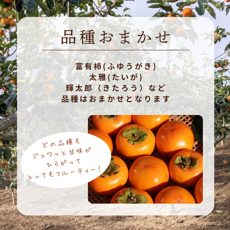 柿 甘柿 【フルーツファームいしくら】 富有柿等 皇室献上の味 広瀬の柿 4kg L 18 個  山梨県笛吹市 種なし かき《10/下旬～11/上旬の出荷》
