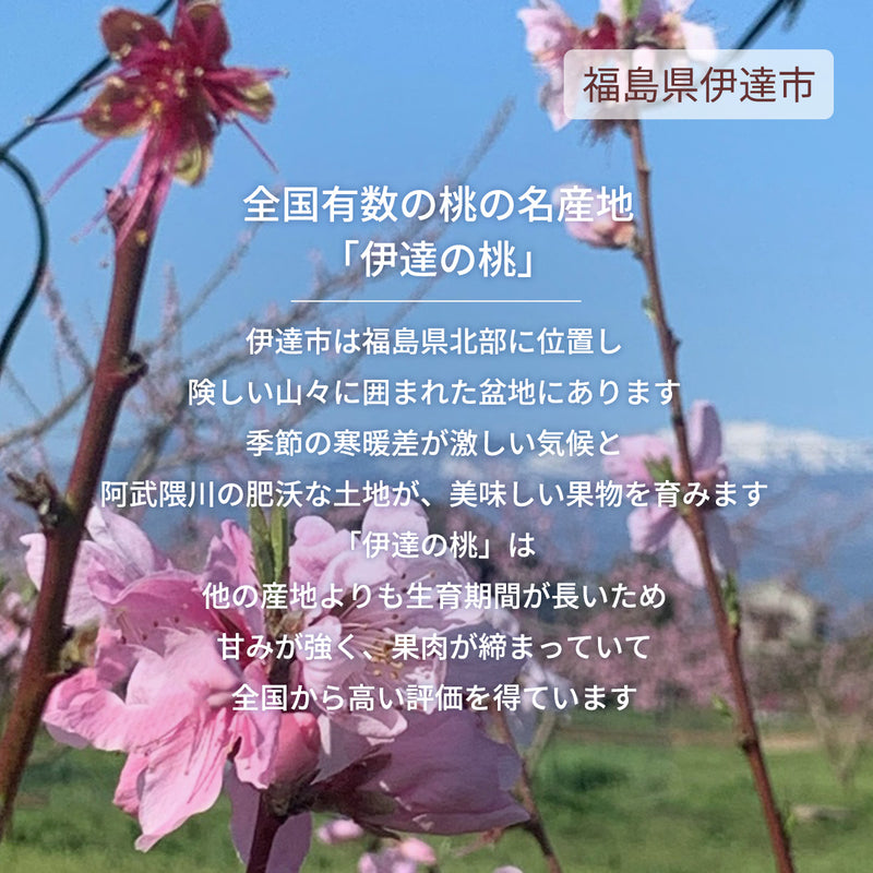 桃 【伊達農園】 品種お任せ 暁星 あかつき 川中島 2kg 5～7個 もも 福島県 伊達市 《7/中旬～7/下旬より出荷》