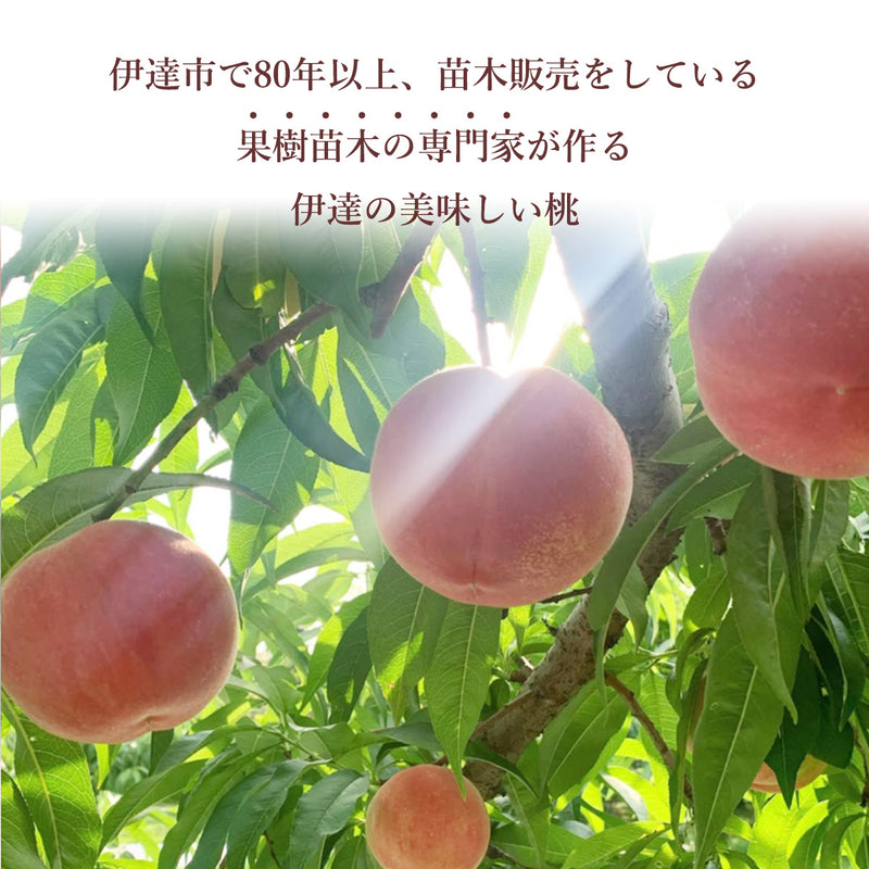 桃 【伊達農園】 品種お任せ 暁星 あかつき 川中島 2kg 5～7個 もも 福島県 伊達市 《7/中旬～7/下旬より出荷》