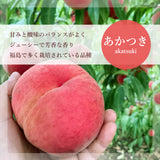 桃 【伊達農園】 品種お任せ 暁星 あかつき 川中島 2kg 5～7個 もも 福島県 伊達市 《7/中旬～7/下旬より出荷》