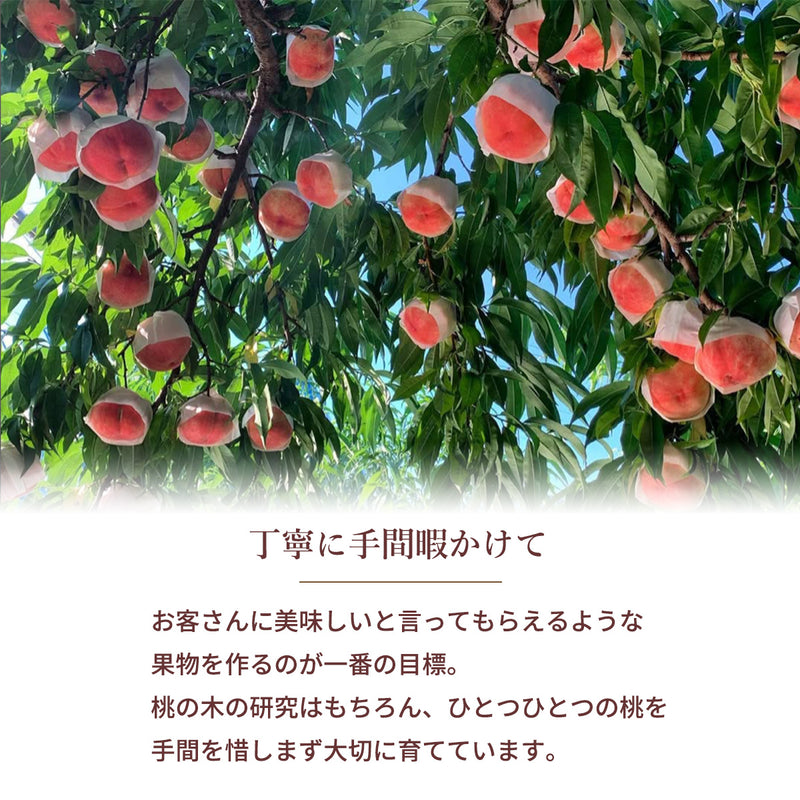桃 【伊達農園】 品種お任せ 暁星 あかつき 川中島 2kg 5～7個 もも 福島県 伊達市 《7/中旬～7/下旬より出荷》