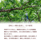 桃 【伊達農園】 品種お任せ 暁星 あかつき 川中島 2kg 5～7個 もも 福島県 伊達市 《7/中旬～7/下旬より出荷》