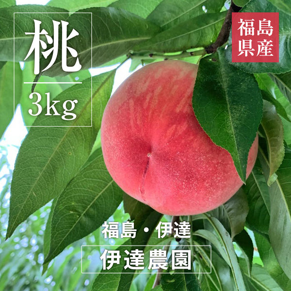 桃 【伊達農園】 品種お任せ 暁星 あかつき 川中島 3kg 9～12個 もも 福島県 伊達市 《7/中旬～7/下旬より出荷》