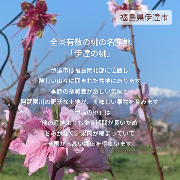桃 【伊達農園】 品種お任せ 暁星 あかつき 川中島 3kg 9～12個 もも 福島県 伊達市 《7/中旬～7/下旬より出荷》