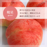 桃 【伊達農園】 品種お任せ 暁星 あかつき 川中島 3kg 9～12個 もも 福島県 伊達市 《7/中旬～7/下旬より出荷》