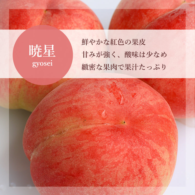 桃 【伊達農園】 品種お任せ 暁星 あかつき 川中島 3kg 9～12個 もも 福島県 伊達市 《7/中旬～7/下旬より出荷》