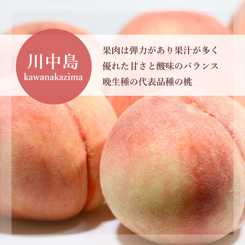 桃 【伊達農園】 品種お任せ 暁星 あかつき 川中島 3kg 9～12個 もも 福島県 伊達市 《7/中旬～7/下旬より出荷》