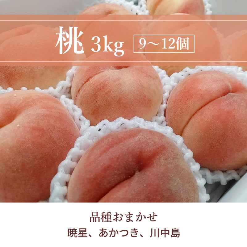 桃 【伊達農園】 品種お任せ 暁星 あかつき 川中島 3kg 9～12個 もも 福島県 伊達市 《7/中旬～7/下旬より出荷》