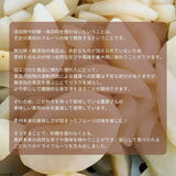 ドライフルーツ 【だてものや】 しっとり 無添加ドライフルーツ 20g×8袋 桃 洋梨 りんご その他 福島県伊達市 ポスト投函