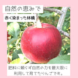 りんご 【原農園】 リンゴ サンふじ 訳あり 家庭用 10kg 長野県 松川町 《12/上旬～12/中旬より出荷》