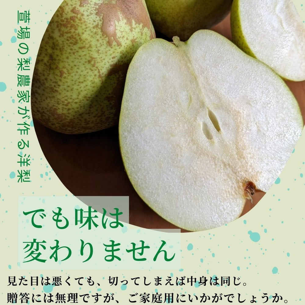 洋梨 【羽田梨園】 ラ・フランス 3kg 訳あり ご家庭用 福島県 萱場 洋