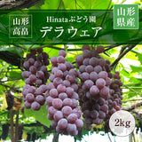 ぶどう 【Hinataぶどう園】 デラウェア 2㎏ L~2L 12～16房 山形県高畠町 《7/下旬～8/中旬の出荷》