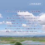 ぶどう 【Hinataぶどう園】 デラウェア 2㎏ L~2L 12～16房 山形県高畠町 《7/下旬～8/中旬の出荷》