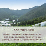 ぶどう 【Hinataぶどう園】 デラウェア 2㎏ L~2L 12～16房 山形県高畠町 《7/下旬～8/中旬の出荷》