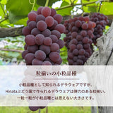 ぶどう 【Hinataぶどう園】 デラウェア 2㎏ L~2L 12～16房 山形県高畠町 《7/下旬～8/中旬の出荷》
