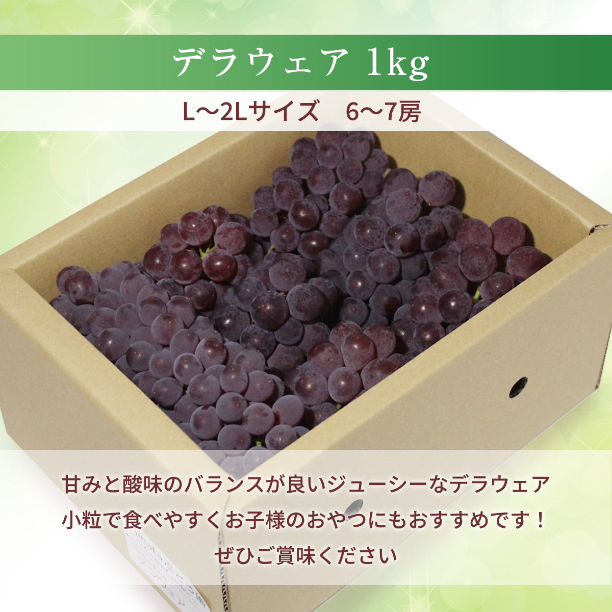 ぶどうさん専用 ぶどう 【Hinataぶどう園】 デラウェア 1㎏ L~2L 6~7房 山形県高畠町